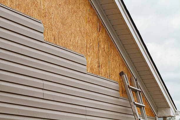 Professional Wood Siding technician working in Brandy Station, VA